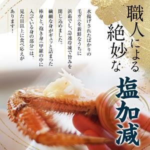ふるさと納税 【7営業日前後で発送】北海道 毛...の詳細画像1