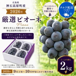ふるさと納税 【2026年先行予約】厳選ピオーネ 約2kg｜高原の寒暖差が育てた濃密な甘み（チルド便）《9月上旬-10月中旬出荷予定》期間限定 .. 広島県神石高原町
