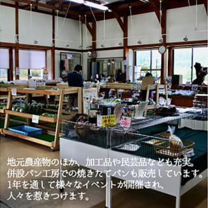 ふるさと納税 丸森町産 えごま油 150m×3...の詳細画像4