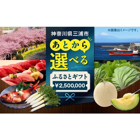 ふるさと納税 あとからセレクト 【 ふるさとギフト 】250万円 M000-022 おすすめ 食品 ...