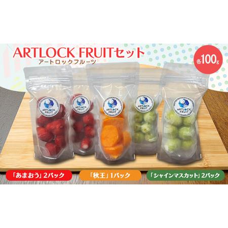 ふるさと納税 フルーツセット 九州産 ARTLOCK FRUIT（アートロックフルーツ） セット/「...