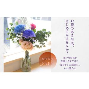ふるさと納税 【定期便】お花屋さんのタハナBO...の詳細画像1