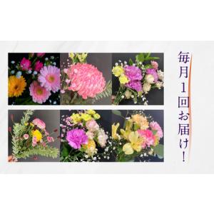 ふるさと納税 【定期便】お花屋さんのタハナBO...の詳細画像2