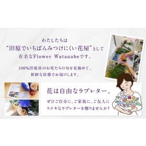 ふるさと納税 【定期便】お花屋さんのタハナBO...の詳細画像3