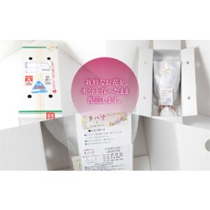 ふるさと納税 【定期便】お花屋さんのタハナBO...の詳細画像4