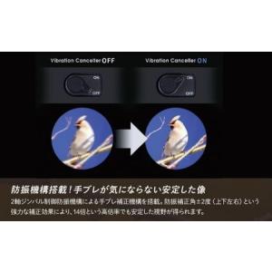 ふるさと納税 防振双眼鏡 ビクセン ATERA...の詳細画像1