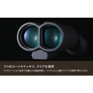 ふるさと納税 防振双眼鏡 ビクセン ATERA...の詳細画像4