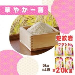 ふるさと納税 【毎月定期便】蛇紋岩ブランド 華やか一膳 20kg(5kg×4)全12回【4071011】 兵庫県養父市