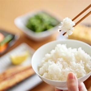 ふるさと納税 【毎月定期便】蛇紋岩ブランド 華...の詳細画像3