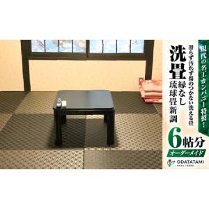 ふるさと納税 現代の名工カンパニー特製！ ペット・介護向け ペット・介護用 滑らず 汚れず 傷のつかない 洗える畳 『 洗畳 』 縁無琉球畳 .. 鹿児島県鹿児島市