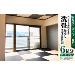 ふるさと納税 現代の名工カンパニー特製！ ペット・介護洗える畳 『 洗畳 』 縁無琉球畳 新調 6帖サイズ （ 畳 半帖サイズ 12枚 ） K348-014 鹿児島県鹿児島市