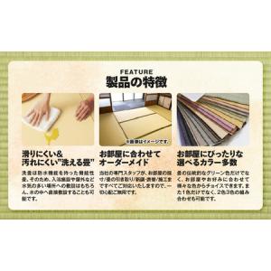 ふるさと納税 現代の名工カンパニー特製! ペッ...の詳細画像2