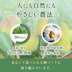 ふるさと納税 はちみつ梅干し 紀州南高梅 訳あ...の詳細画像2