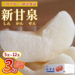 ふるさと納税 【先行予約】（訳あり）中野農園 梨 ”新甘泉” 3kg箱｜鳥取 岩美 梨 なし ナシ ...