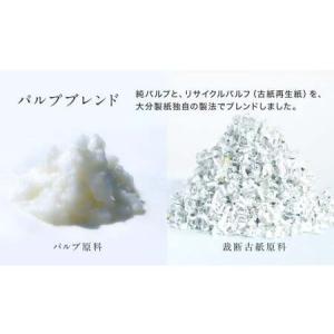ふるさと納税 【隔月3回定期便】ふんわりやさし...の詳細画像4