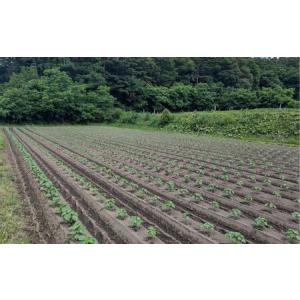 ふるさと納税 無農薬・無化学肥料 青森県産 生...の詳細画像1