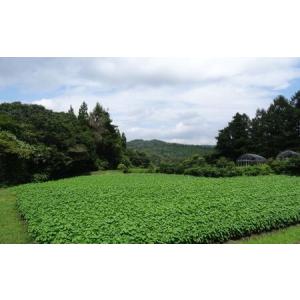 ふるさと納税 無農薬・無化学肥料 青森県産 生...の詳細画像2