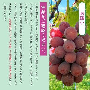 ふるさと納税 ぶどう 約2.5kg 4〜5房入...の詳細画像1