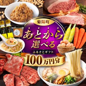 ふるさと納税 【 あとから選べる 】菊陽町 ふるさと ギフト 100万円分 あとから あとから BHZY011 熊本県菊陽町