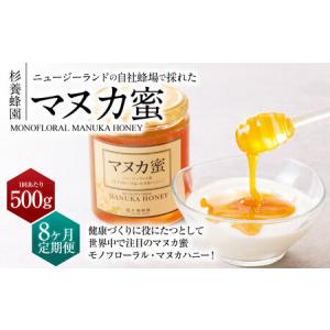ふるさと納税 【8ヶ月定期便】ニュージーランド産 マヌカ蜜 約500g×8ヶ月 ／ 計約4.0kg マヌカハニー マヌカ モノフローラル・マヌカハニー.. 熊本県熊本市