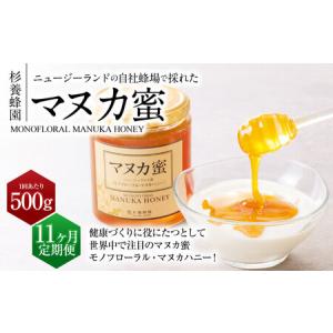 ふるさと納税 【11ヶ月定期便】ニュージーランド産 マヌカ蜜 約500g×11ヶ月 ／ 計約5.5kg マヌカハニー マヌカ モノフローラル・マヌカハニ.. 熊本県熊本市