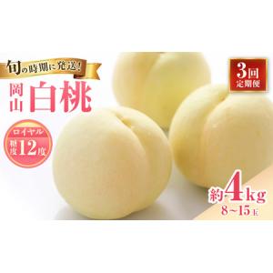 ふるさと納税 【2026年先行受付】 白桃 3回 定期便 特秀 ロイヤル 大玉 岡山県産 桃 もも モモ 御中元 ギフト 御礼 プレゼント 御礼 御祝 御供.. 岡山県瀬戸内市
