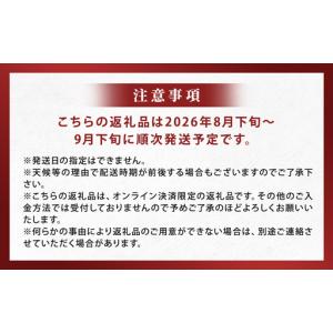 ふるさと納税 長崎県産 シャインマスカット 約...の詳細画像1