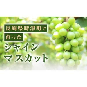 ふるさと納税 長崎県産 シャインマスカット 約...の詳細画像2