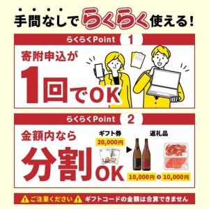 ふるさと納税 あとからセレクト【ふるさとギフト...の詳細画像2