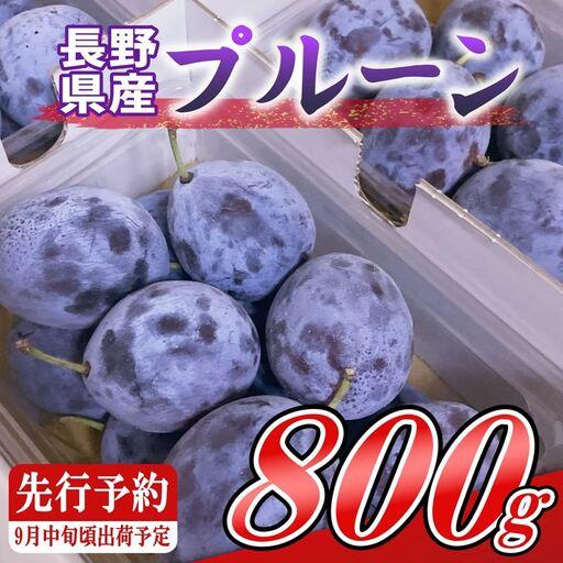 ふるさと納税 プルーン約800g（400g×2パック）【先行予約・2026年9月上旬〜中旬発送】(北...