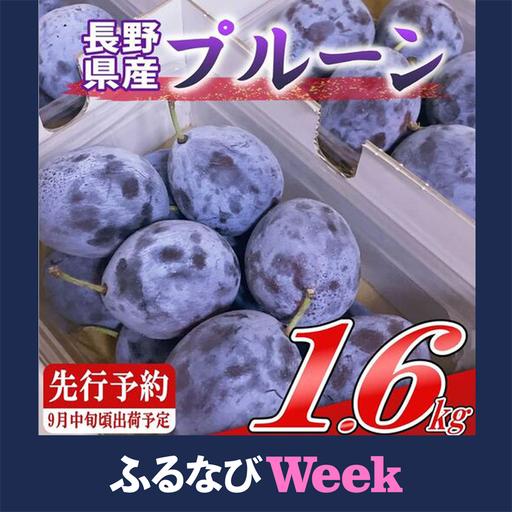 ふるさと納税 プルーン約1.6kg（400g×4パック）【先行予約・2026年9月上旬〜中旬発送】（...