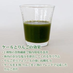 ふるさと納税 【3回定期便】【冷凍生】りんご青...の詳細画像2