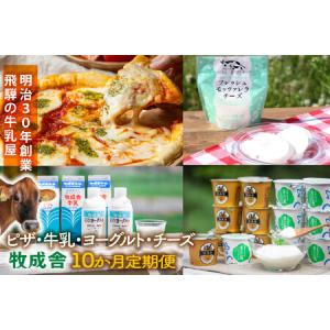 ふるさと納税 【全10回定期便】毎月お楽しみ10か月企画（ピザ・牛乳・チーズ・ヨーグルト）｜乳製品 詰合せ デザート 惣菜 乳飲料 牧成舎 DF234 岐阜県高山市