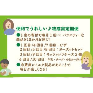 ふるさと納税 【全10回定期便】毎月お楽しみ1...の詳細画像1