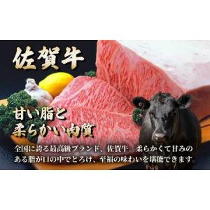 ふるさと納税 毎月お届け!佐賀牛づくし!100...の詳細画像1