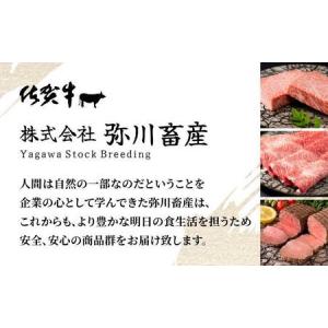 ふるさと納税 毎月お届け!佐賀牛づくし!100...の詳細画像3