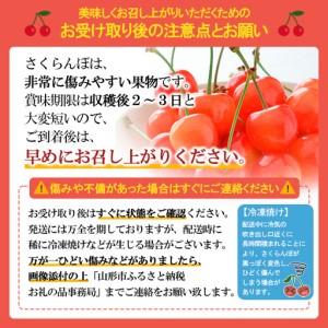 ふるさと納税 【定期便4回】☆フルーツ王国山形...の詳細画像2