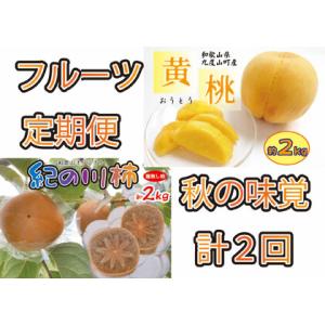 ふるさと納税 秋の味覚フルーツ定期便 黄桃(黄貴妃)約2kg＆紀の川柿 約2kg【9月・10〜11月...