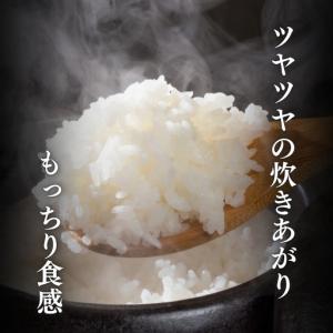 ふるさと納税 【6か月定期便】柿崎区厳選 コシ...の詳細画像1
