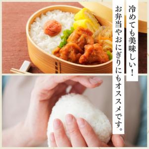 ふるさと納税 【6か月定期便】柿崎区厳選 コシ...の詳細画像2