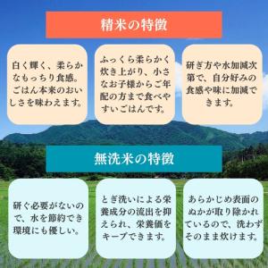 ふるさと納税 【6か月定期便】柿崎区厳選 コシ...の詳細画像3