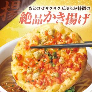 ふるさと納税 【全12回定期便】どん兵衛 天ぷ...の詳細画像3