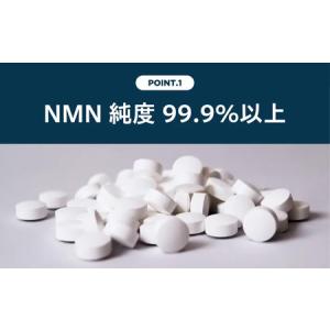ふるさと納税 Taste NMN15000 3...の詳細画像3