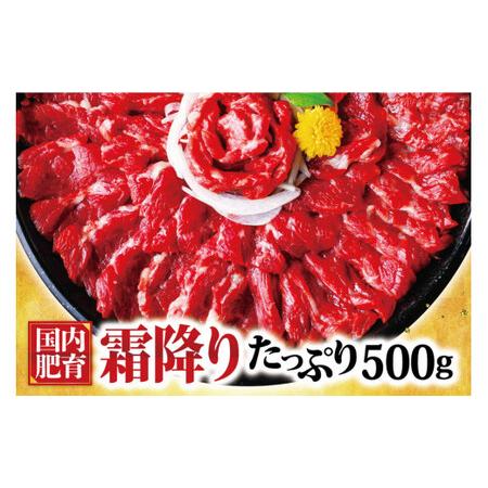 ふるさと納税 熊本馬刺し 霜降り たっぷり 約500g(約50g×10パック) 専用醤油付き 熊本県...