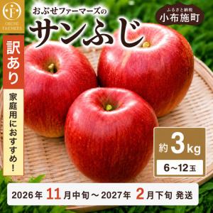ふるさと納税 【訳あり】先行受付 サンふじ 約3kg 6〜12玉［おぶせファーマーズ］ 不揃い 規格外 家庭用 りんご 林檎 リンゴ 果物 フルーツ ふ.. 長野県小布施町