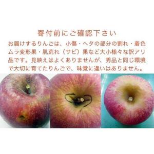 ふるさと納税 【訳あり】先行受付 サンふじ 約...の詳細画像1