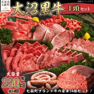 ふるさと納税 【北海道ブランド牛】大沼黒牛　1頭 NAM009 北海道七飯町