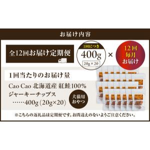 ふるさと納税 【 全12回 定期便 】Cao ...の詳細画像4