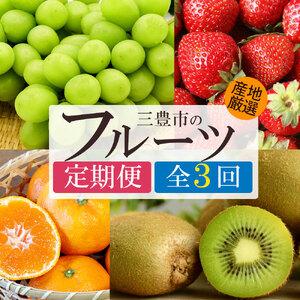 ふるさと納税 【3回定期便】シャインマスカットと さぬき姫・旬のフルーツ (デコポン) 香川県三豊市