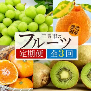 ふるさと納税 【3回定期便】シャインマスカットと グリーンキウイ・旬のフルーツ (デコポン) 香川県三豊市